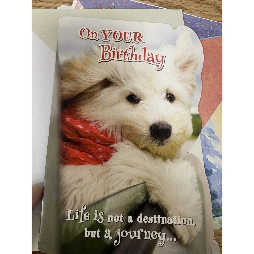 52 Birthday Cards With Envelopes All Different Themes See Photos